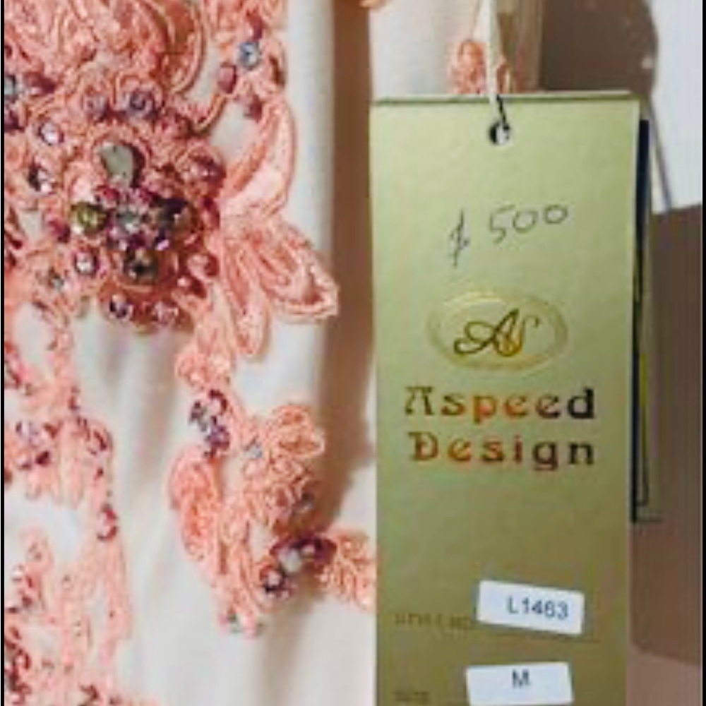 A speed Design  Salmon Pink Mesh Neckline Sleeveless Mermaid Gown - Picture 9 of 9